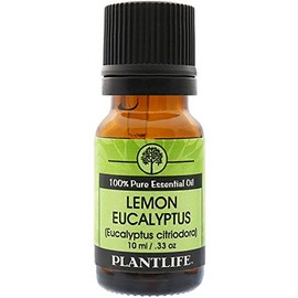 Plantlife Eucalyptus Citriodora (Lemon Eucalyptus) 100% Pure Essential Oil - 10 ml