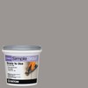 Custom PMG165QT 1-Quart Simple Premium Grout, Delorean Gray (Pack May