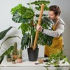 Relaxdays Coconut Sticks Set of 5 Flexible Plant Sticks for