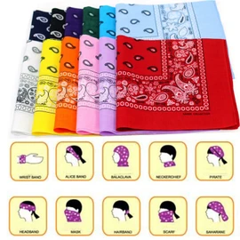 BSLINO Bandanas 24pcs 22 X 22 Inch 100% Cotton Bandana Novelty Double Sided Print Paisley Cowboy Bandana Party Favor Scarf Headband Handkerchiefs Two Dozen