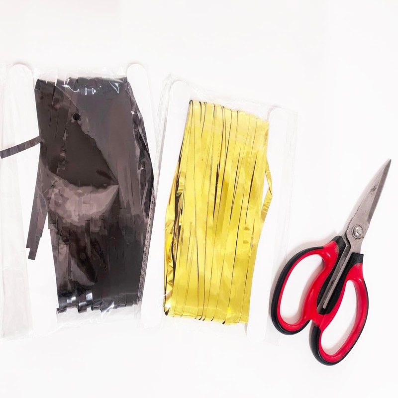AILEXI 2 Pack 3ft*8ft Party Supplies Foil Fringe Shimmer Curtains,