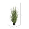 Vickerman TN170148 Everyday Grass Plant