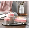 WoodWick Shoreline Trilogy Gifts for Women and Men, 21.5 oz