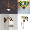 Dotlite 2Pack Ceiling Fan Pull Chain Light Switch Zing Ear