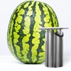 Alipis Stainless Steel Watermelon Puncher Cutter, Melon Opener and Corer,