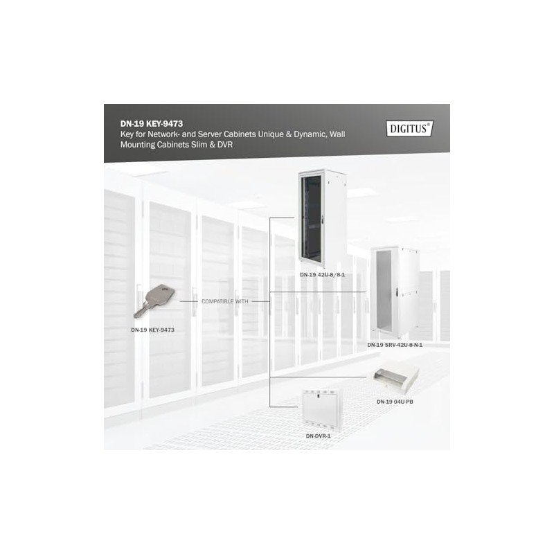 DIGITUS Professional DN-19 KEY-9473 Key, Silver