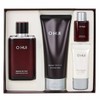 All-in-one men's care product with quick absorption and easy completion (110ml)