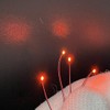 Vrabocry 0805 Red SMD Micro 20 mA LED Diodes Soldered