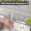 GBBNE Kitchen Faucet with Sprayer 2 Handle Kitchen Sink Faucets