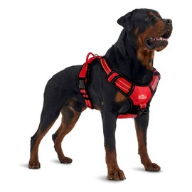 Updated for 2021 - Metro Escape Proof Dog Harness| No Pull Dog Harness | Front/Back Leash Attachments | Dog Harness with Handle | Adjustable Fit Dog Harness | Padded Training Dog Harness for Comfort