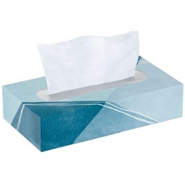 Signature-Facial Tissues, 2-Ply Flat Box, 110 Tissues/Box, 4 Pack (440 Total Sheets), Soft & Absorbent, Fragrance-Free