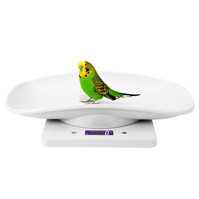 Digital Pet Scale, Multifunctional Electronic Scales Pet Scales 10kg/1g Digital
