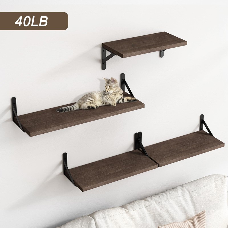 YGEOMER Floating Shelves for Wall, Walnut Wall Shelves Different Sizes,