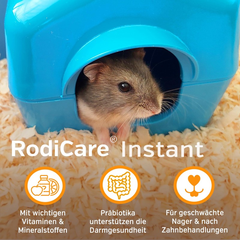 Alfavet Poplar food with healthy herbs