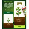 FoxFarm - Big Bloom Plant Food, Liquid Fertilizer Concentrate for