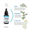 Phytopet Calm & Focus | 30ml | Natural Cognitive &