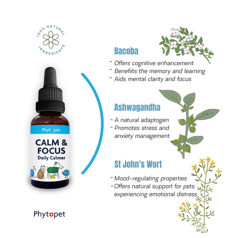 Phytopet Calm & Focus | 30ml | Natural Cognitive &
