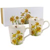 The Leonardo Collection Set of 2 Mugs Bee Daffodils Floral