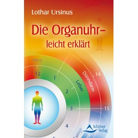 Die Organuhr - leicht erklärt