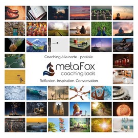 metaFox Rêvez votre vie | 52 Cartes Inspirantes, Cartes d'Affirmations Positives & Cartes Postales Motivantes, Cartes pour Coaching de Vie, Thérapie & Conseil Personnel, Cartes de Pleine Conscience