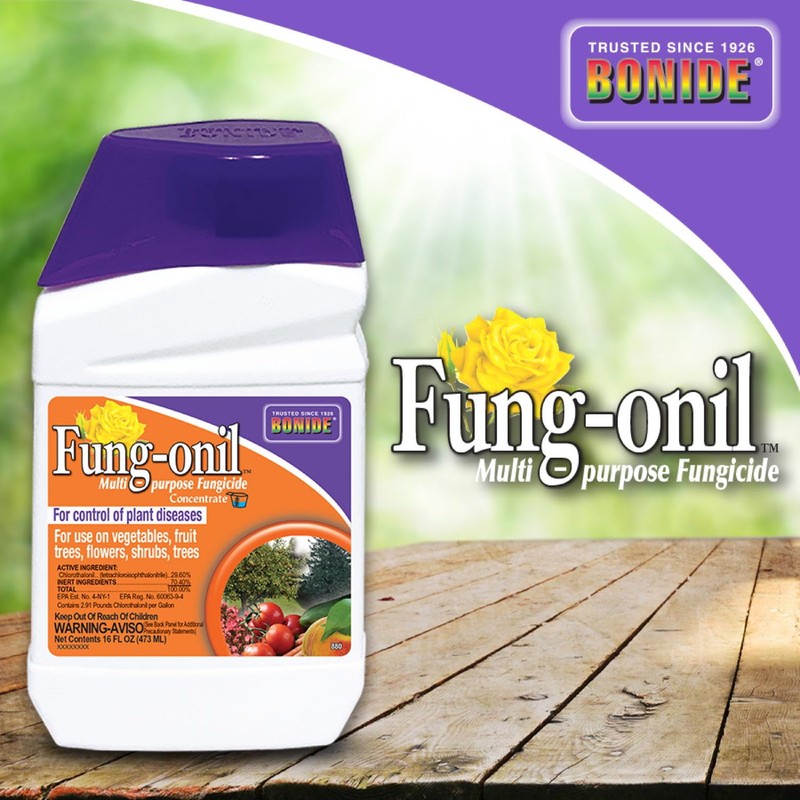 Bonide Fung-onil Multi-Purpose Fungicide, 16 oz Concentrate for Plant Disease