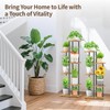 LASZOLA Black 5 Tiered Wood Plant Stand Indoor for Larger
