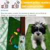 Alfombra Césped Perros Fengtuilie 71x46cm Lavable Ecológica Verde