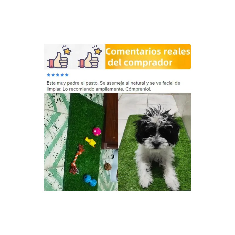 Alfombra Césped Perros Fengtuilie 71x46cm Lavable Ecológica Verde