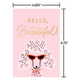 American Greetings 15-Count All Occasion Greeting Card Bundle with Envelopes and Seals for Dog Lovers and Owners