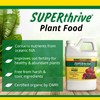 SUPERthrive Liquid Organic All Purpose Plant Food 1 qt.