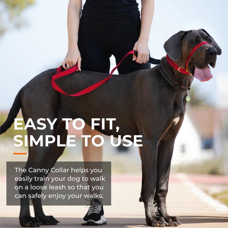 Canny Collar No Pull Dog Head Collar, Lead Training Head