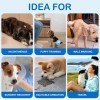 DONO’S DIARY Disposable Male Dog Diapers 10PCS Small DONO’S DIARY