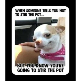 Funny dog   refrigerator magnet 3 1/2 X 4 1/2 "