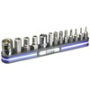 Titan 16136 13-Piece Tamper Resistant Metric Hex Bit Set