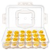 MesRosa Deviled Egg Containers with Lid and Handle, Durable Clear