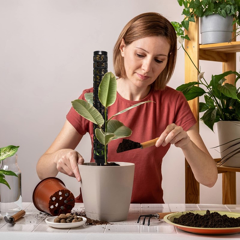 LangRay Moss Pole for Climbing Plants Monstera, Indoor Plant Supports,