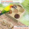 Hamiledyi 2 Pack Wooden Foraging Bird Toys - Interactive Slow