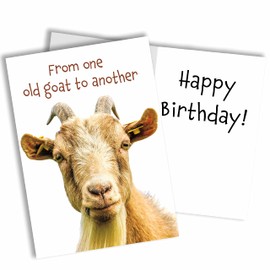 Funny Happy Birthday Card, Old Goat Birthday Card, "From One Old Goat to Another", 5"x7", each card comes with a white envelope, great for friends and family Members (1-pack)