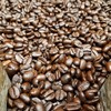 Cameron's Coffee Roasted Whole Bean Coffee, Organic Sumatra Blend, 4
