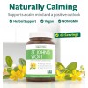 Healths Harmony St John's Wort Capsules Powerful & Potent Saint