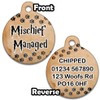 Spoilt Rotten Pets 19mm Mischief Managed Pawrauders Map Wizard Dog