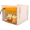 10" x 10" Chick Brooder Heating Plate with Temperature Adjustable,