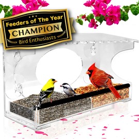 Comedero grande para pájaros de ventana transparente – Casa extendida con ventosas fuertes – Bandeja de semillas de alimentación deslizante de perca de acero – Transparente Big Birdhouse – Wild Finch, Cardinal, Blue Jay – Regalo de gato fresco