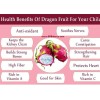 Cactus 100 Red Dragon Fruit Seeds Pitaya Pitahaya Hylocereus Undatus