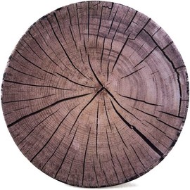 HYSEAS Round Throw Pillows 14 Inch Kiwi, 3D Print Decorative Plush Funny Fruit Stuffed Cushions Toy Seat Pad for Couch, Chair, Floor, Sofa, 2 Pack