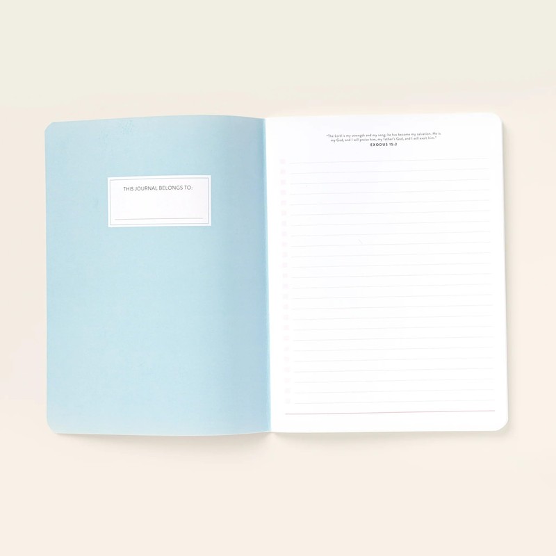 Passionate Penny Pincher Blank Journal - (Pack of 4) 6''