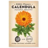 The Little Veggie Patch Co Calendula 'Pacific Bty' H'loom Seeds, 1 pack