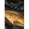 One More Cast Heist PB Sling – Splash Camo Weigh