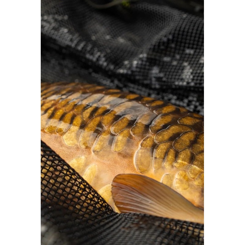 One More Cast Heist PB Sling – Splash Camo Weigh