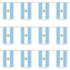 Argentina Bunting Flag, World Cup 2022 Argentina Bunting 10m/32ft Rectangle Fabric Argentina Bunting Banner, Outdoor Indoor Garden Bar Hanging Flag for World Cup Decorations 2022 Party Decoration